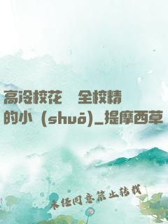 高冷?；S為全校精靈的小說(shuō)