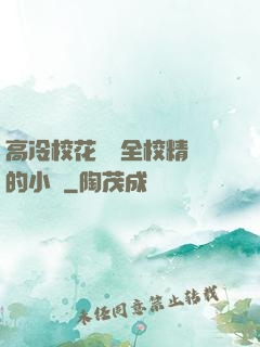高冷校花淪為全校精靈的小說