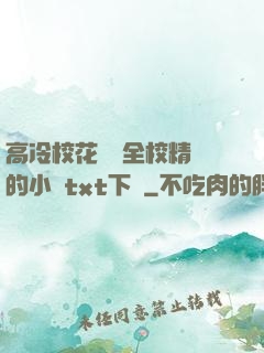 高冷校花淪為全校精靈的小說txt下載