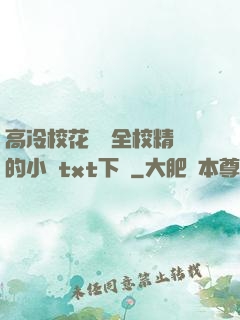 高冷校花淪為全校精靈的小說txt下載