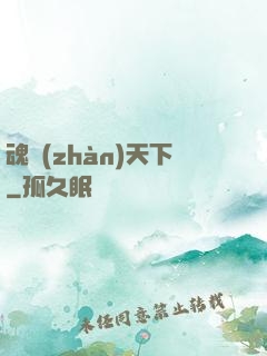 魂戰(zhàn)天下