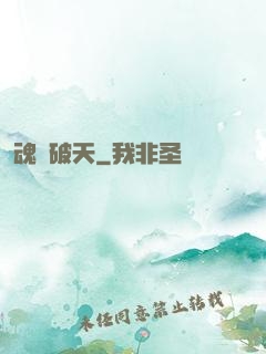 魂極破天