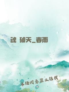 魂極破天