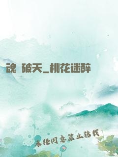魂極破天