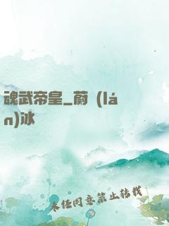 魂武帝皇