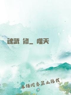 魂武雙修