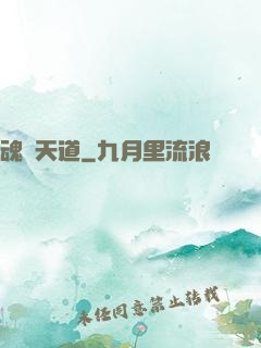 魂煉天道