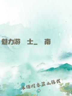 魅力游戲劍士
