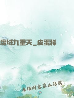 魔域九重天