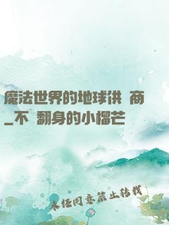 魔法世界的地球供貨商