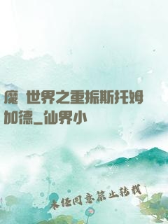 魔獸世界之重振斯托姆加德