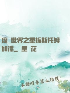 魔獸世界之重振斯托姆加德
