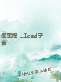 黑金探長