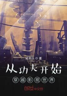 從功夫開(kāi)始穿越影視世界