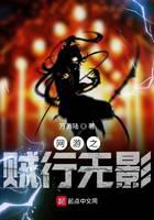 網游之賊行無影